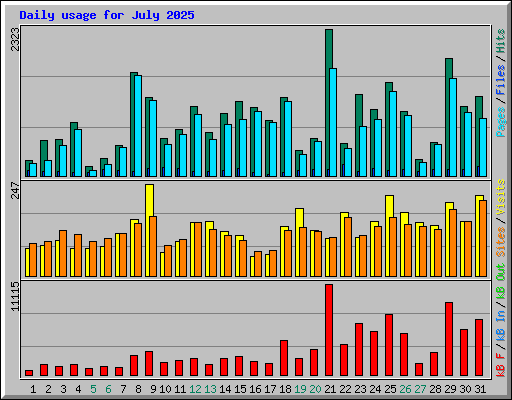 Daily usage for July 2025