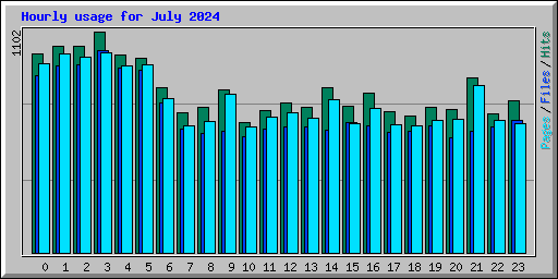 Hourly usage for July 2024