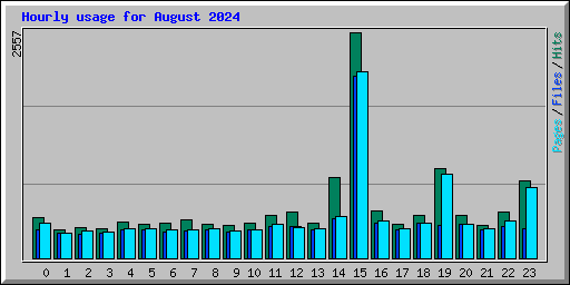 Hourly usage for August 2024