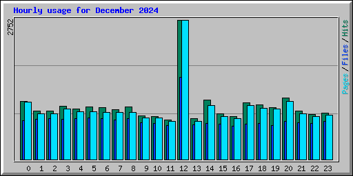 Hourly usage for December 2024