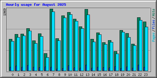 Hourly usage for August 2025