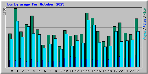 Hourly usage for October 2025