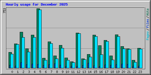 Hourly usage for December 2025