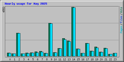 Hourly usage for May 2025