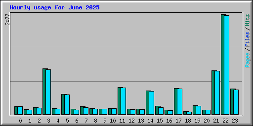 Hourly usage for June 2025