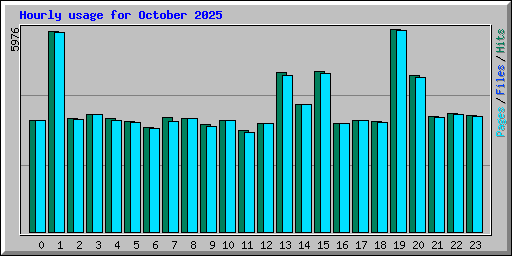 Hourly usage for October 2025