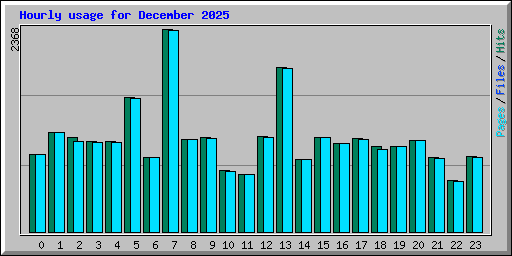 Hourly usage for December 2025
